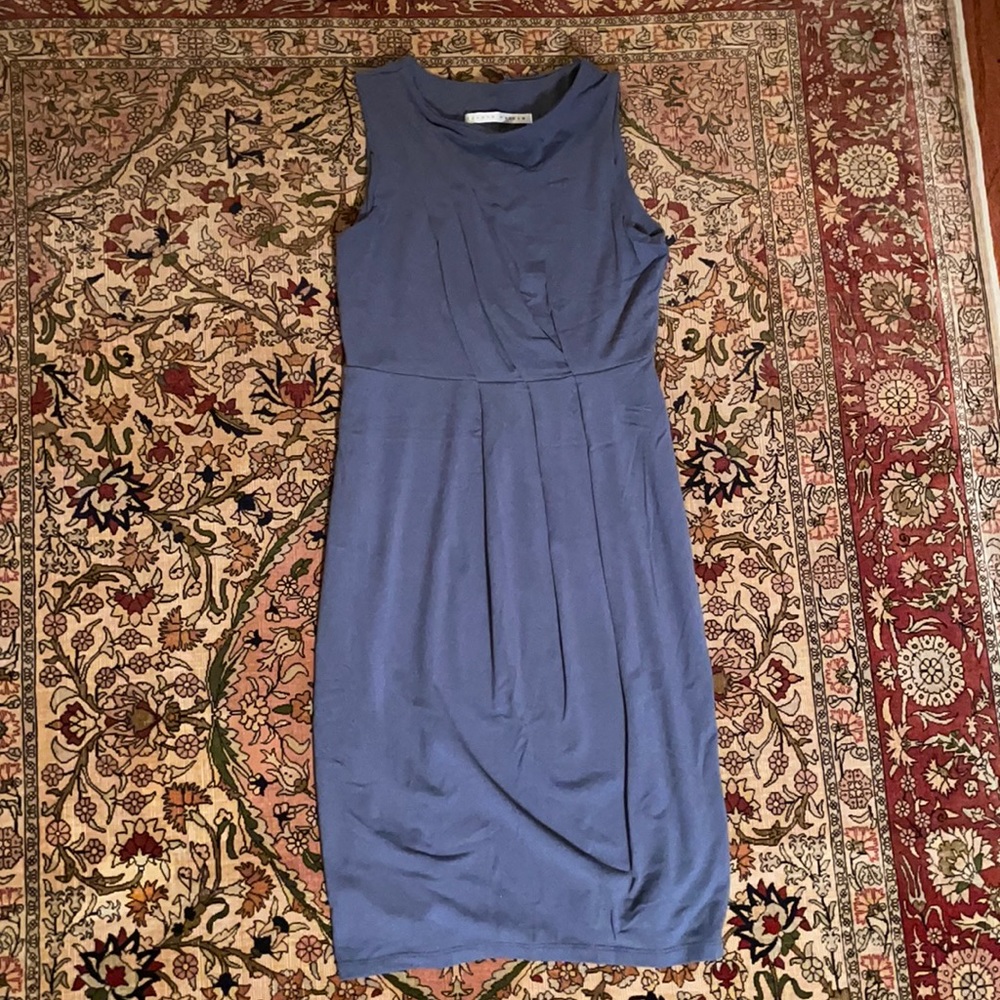 susana monaco dress